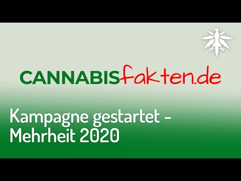 Kampagne gestartet - Mehrheit 2020 | DHV-News #262