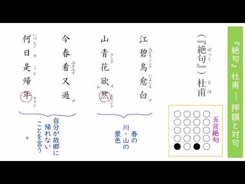 動画サムネイル