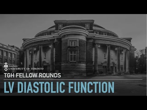 TGH APTE - Diastolic Dysfunction, Dr. Ahmad Omran