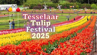 Tesselaar Tulip Festival 2025 🌷 | Australia’s Biggest Flower Festival in Melbourne