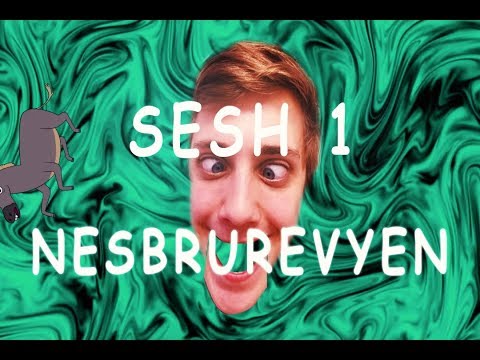 Nesbrurevyen 2018 intensiv dag 1