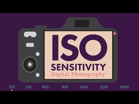 ISO Sensitivity