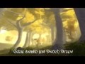Drużyna Trzeźwych Hobbitów - Samotny Elf + Tekst ...