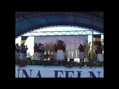 Ansamblul Bujorii Sofronei La Felnac 2011