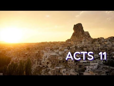 ACTS 11 NIV AUDIO BIBLE