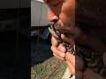 Baby Alligator Was Hungry Shortsyoutube Florida Gators