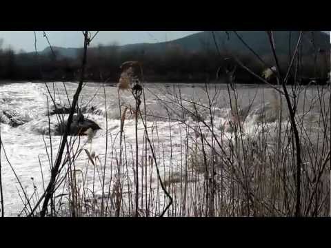 Raul Somes in zona Cociu