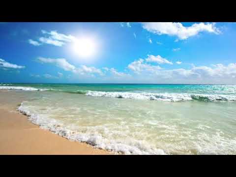 Ana Blandiana - Îți aduci aminte plaja? (clipa de poezie)