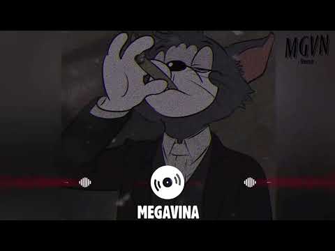 Người Đi Bao || Tlinh x Low G x AnhVuRemix || MEGAVINA