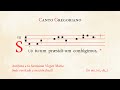 «Sub tuum præsidium» (oración incl.) – Antífona a la Santísima Virgen María – Canto Gregoriano