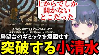 【 ゼルダの伝説 ティアーズ オブ ザ キングダム#21】鳥望台のギミックを意図せず突破する小清水【小清水 透切り抜き】※ネタバレあり