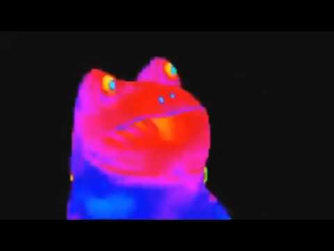 ITANHAEM SÓ MLK LOKO NA RAVE