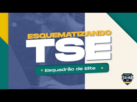 Esquematizando TSE - Gestão de Contratos - Prof. Thallius Moraes
