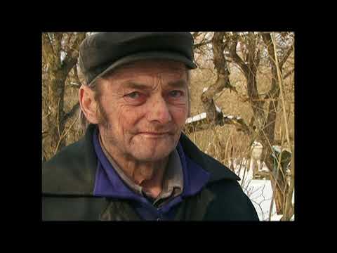 PROVINCE: Laika zīmju vērotājs.