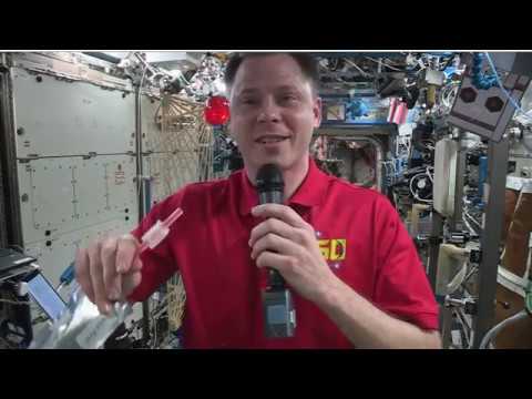 Expedition 60 Inflight with Slover Library August 9, 2019