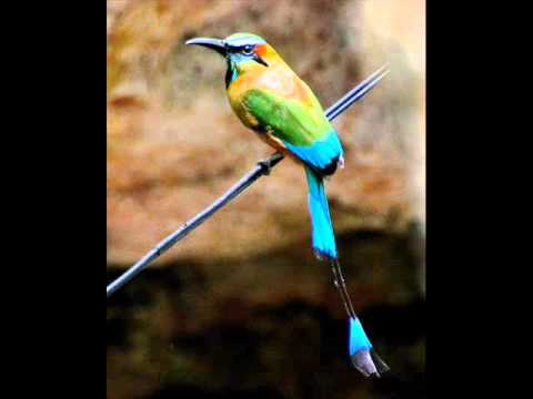 Warcloud- Weapon Factory