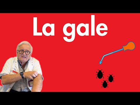 Scabies: the parasite, symptoms and diagnosis, treatment.