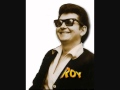 Roy Orbison lovestruck