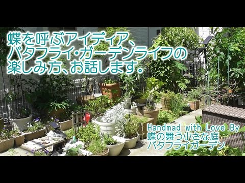 庭にとって最も重要な蝶の植物 トピックス