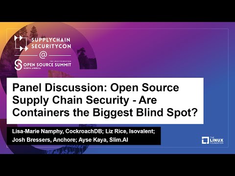 Panel Discussion: Open Source Supply Chain Security - Are Containers..- Lisa-Marie, Liz, Josh, Ayse
