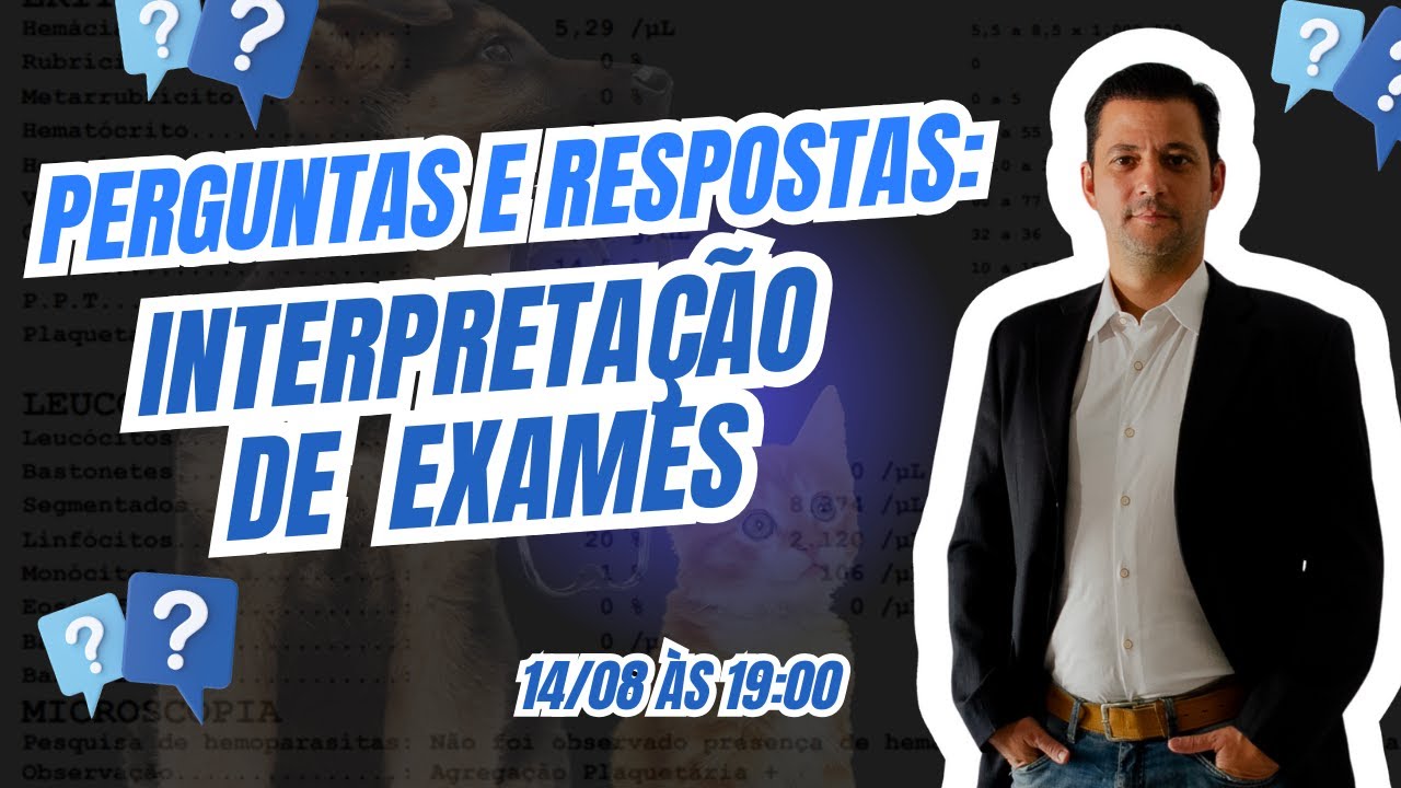 Perguntas e respostas: interpretação de exames