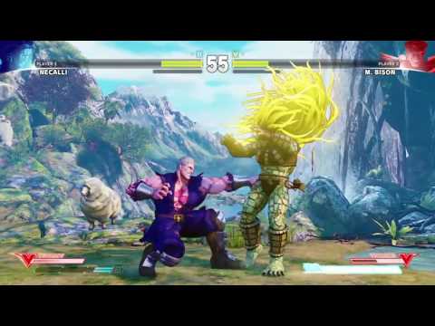 Necalli VS Bison