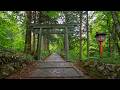 Rainy Forest Walk At Daisen Temple Tottori Japan 4K