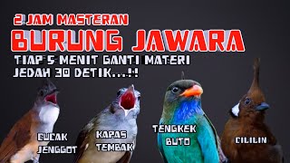 Download lagu 2 jam masteran wajib burung lomba ‼️tiap 5 menit ganti materi jeda 30 detik mp3 Download lagu 2 jam masteran wajib burung lomba ‼️tiap 5 menit ganti materi jeda 30 detik mp3