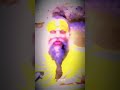 Premanand Ji Maharaj Attitude Status Vrindavan Premanandjimaharaj Status