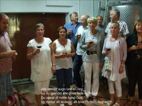 Alle Vender Augo Sine - Misc Praise Songs