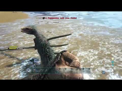 Ark bad luck