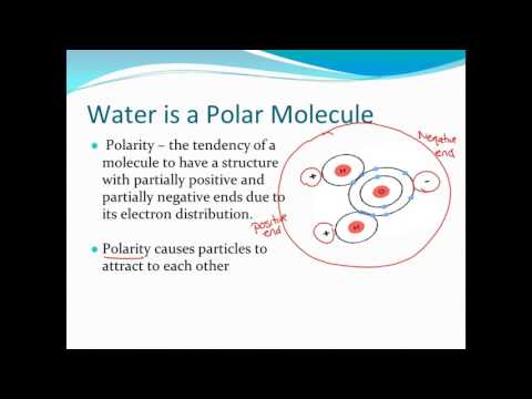 Polarity of Water