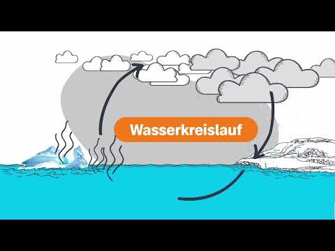 Wie der Wasserkreislauf funktioniert - logo! erklärt - ZDFtivi