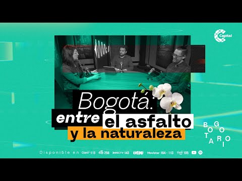 ¿Bogotá es una ciudad sostenible?