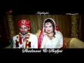 Shadmani HIGHLIGHTs HD