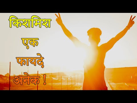 किशमिश एक फायदे अनेक ! Health Benefits of Dried Fruit Raisins ! Akshaj Health