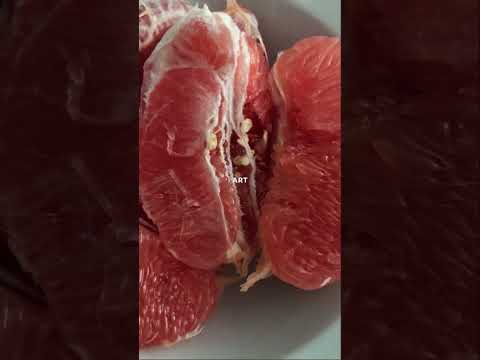 Goylz Urgamal -Sorry Kkk