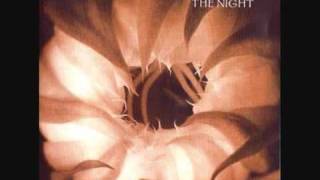 Morphine A good woman is hard to find.mp4