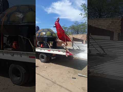 ya llegó Albania la guajira