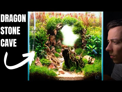 The Dragonstone Cave: NEW Nano Setup For Rice Fish & Shrimp! Aquascape Tutorial