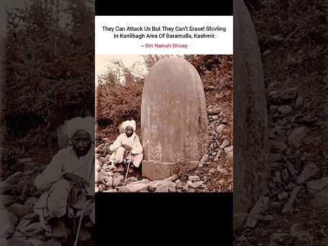 They Can't Demolish our eternal sanatan Dharm🚩🙌#sanatanhindu #dharma #viral #shorts