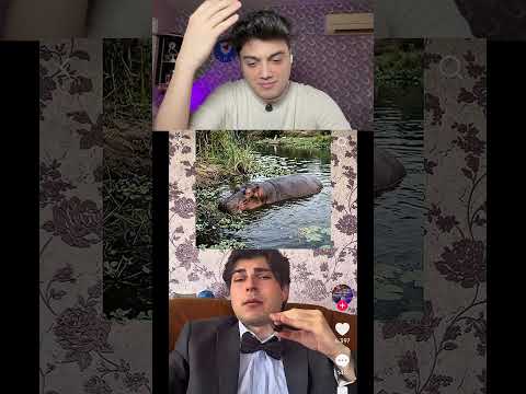 Dahi cümlələr