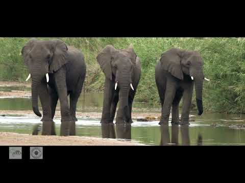 AWT: Zambia 4x4 Overland Adventure