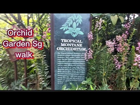 Tropical Montane Orchidetum #NationalOrchidGarden