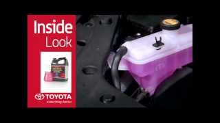 Toyota Pointe Claire >> Spinelli Toyota Pointe Claire Download Free Tomp3 Pro Toyota Pointe Claire >> Spinelli Toyota Pointe Claire Download Free Tomp3 Pro