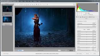 不藏私~教你怎麼用三支閃燈打出日光夜景中的迷霧精靈