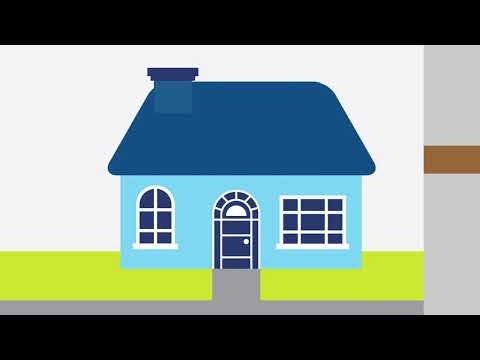 Signs of Mold & When to Call A Specialist