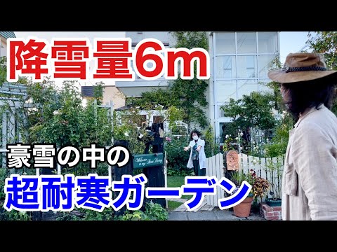 冬の美しい庭を作る、凍らない屋外植物10選  庭園