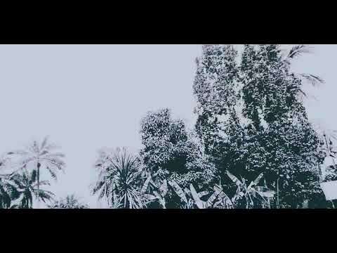 Naira marley ft Olamide x reminisce x sarz - INSTAGRAM (OFFICIAL VIDEO)