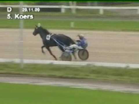 Kampioenschap van Nederland 2009 - Venividivici Joe